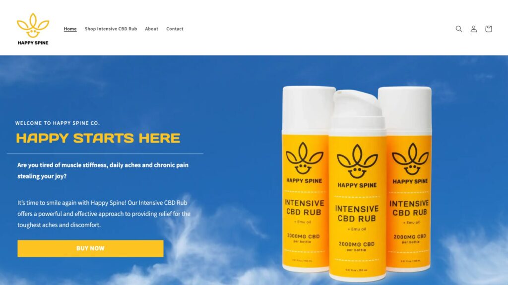 Happy Spine Website Development Project - screenshot of homepage